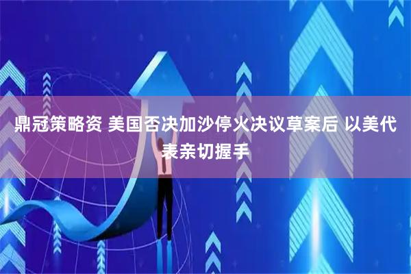 鼎冠策略资 美国否决加沙停火决议草案后 以美代表亲切握手