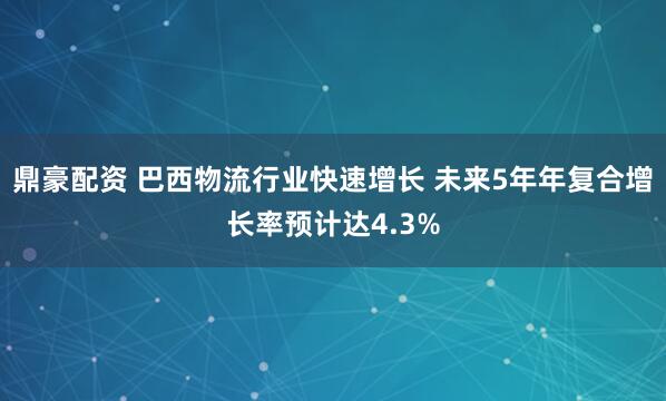 鼎豪配资 巴西物流行业快速增长 未来5年年复合增长率预计达4.3%