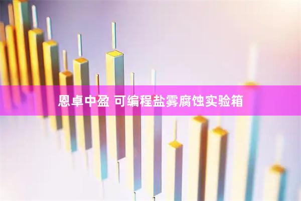 恩卓中盈 可编程盐雾腐蚀实验箱